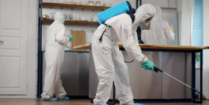 Dedetizadora em São Paulo Dedetizadora em São Paulo